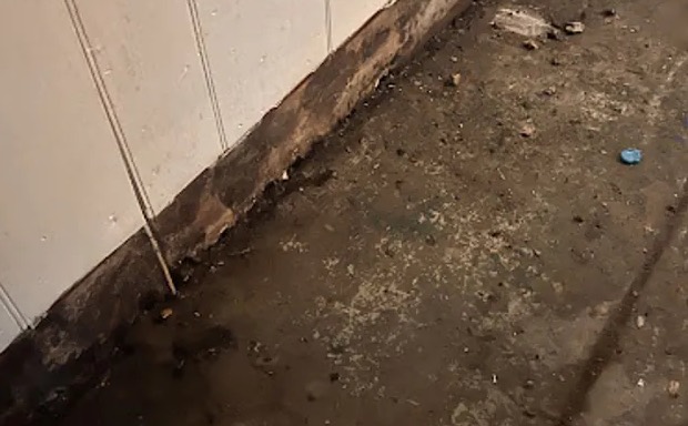 Contaminated Water Removal in Randolph, MA