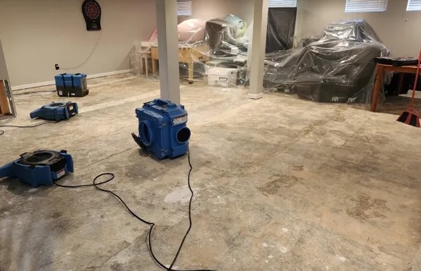 Mold Decontamination in Saugus, MA